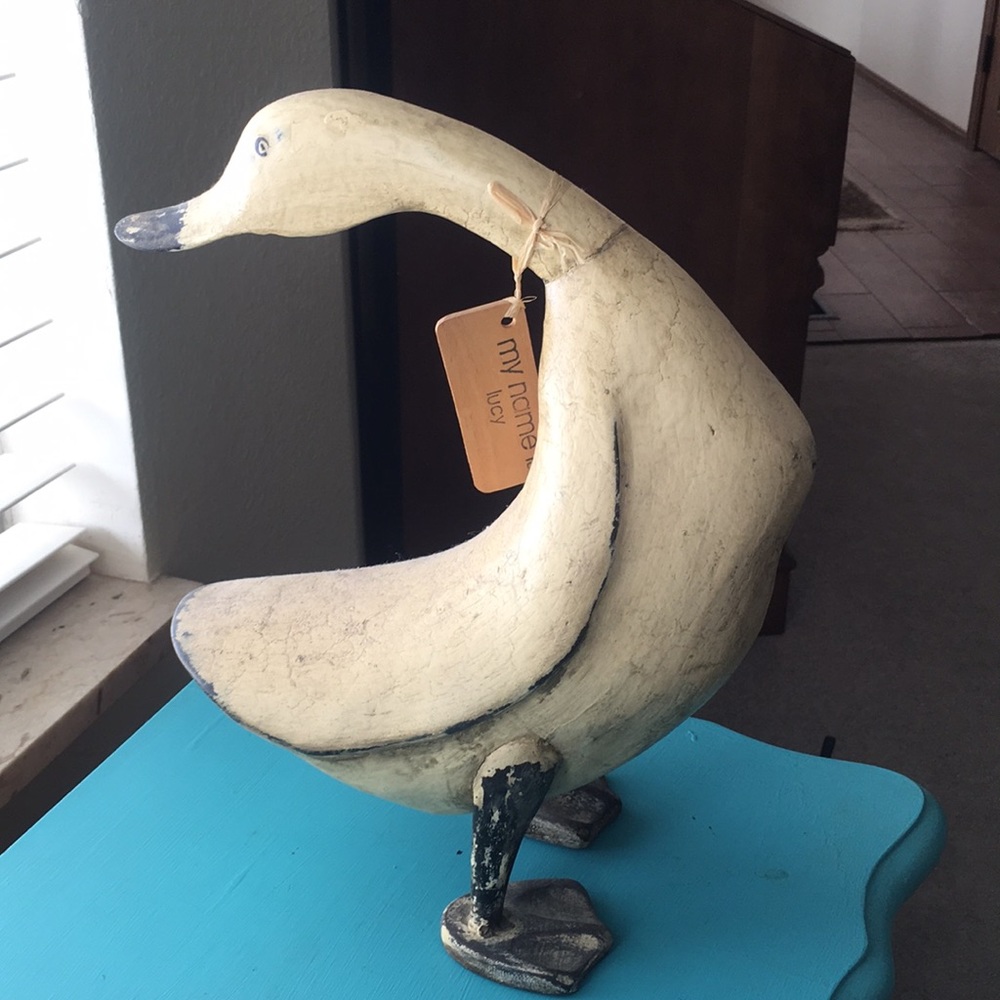 Wooden duck “my name is Lucy”